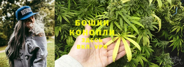 стафф Волоколамск
