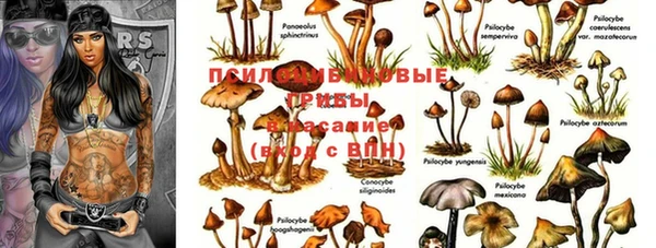 jwh Володарск