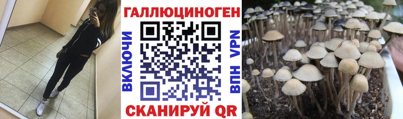 Галлюциногенные грибы MAGIC MUSHROOMS  Северск 