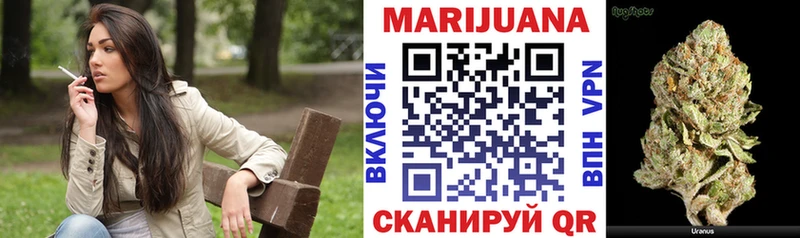 Бошки марихуана конопля Северск